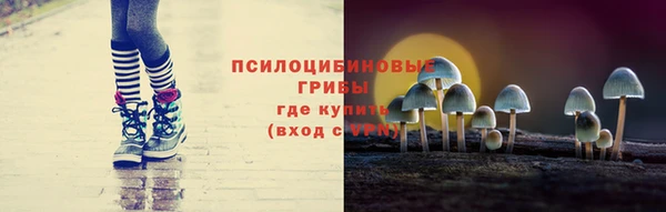 дмт Аркадак
