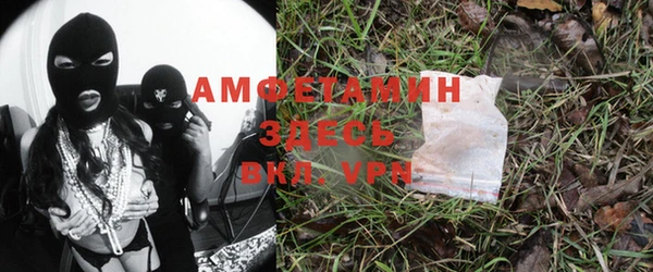 дмт Аркадак