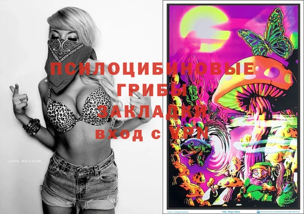 МДПВ Армянск